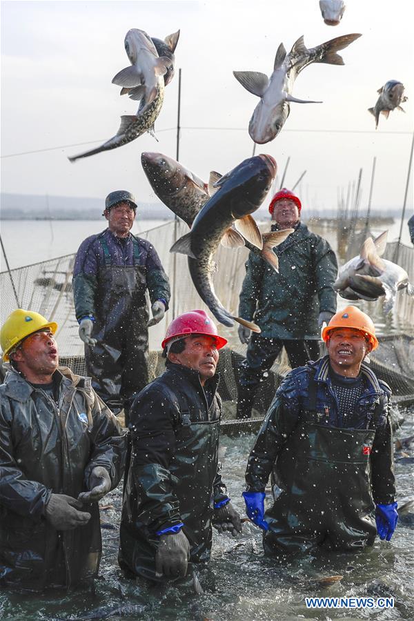 #CHINA-JIANGSU-FISH CATCHING (CN)