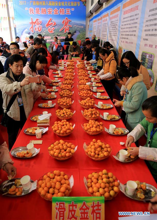 #CHINA-GUANGXI-KUMQUAT-COMPETITION (CN)