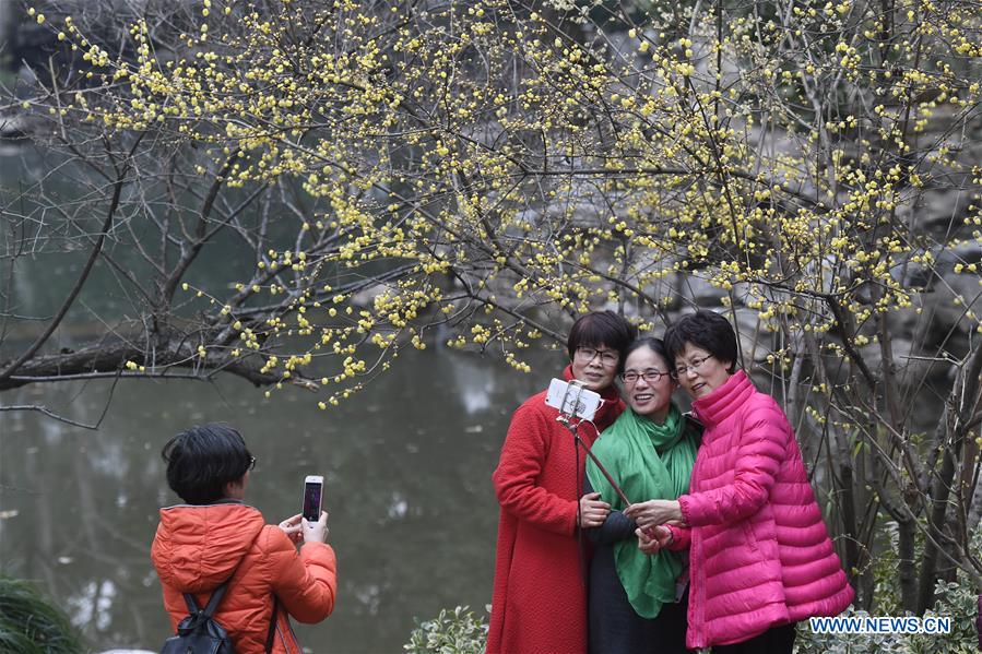 CHINA-HANGZHOU-PLUM BLOSSOMS (CN)