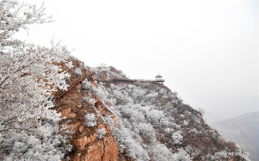 CHINA-HENAN-PINGDINGSHAN-FROST SCENERY (CN)