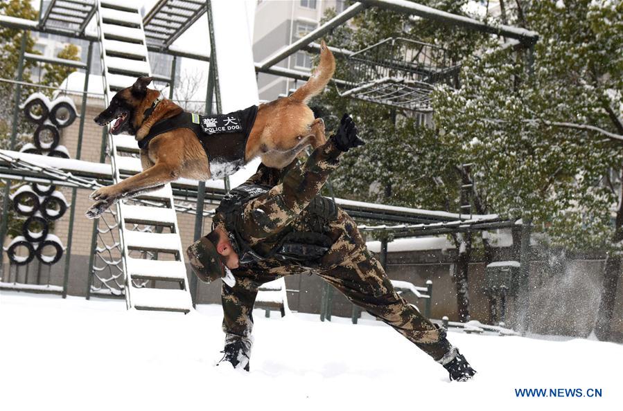 #CHINA-HEFEI-POLICE DOG (CN)