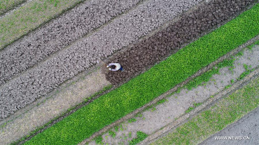 #CHINA-EARLY SPRING-AGRICULTURE (CN)