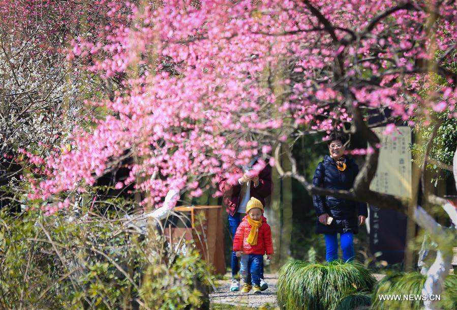 #CHINA-BEGINNING OF SPRING-FLOWER(CN)