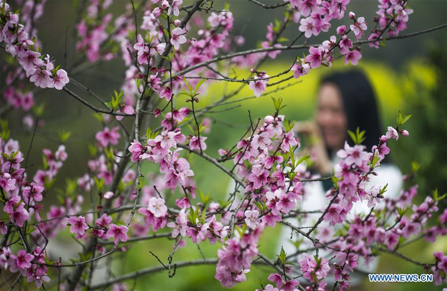 #CHINA-SPRING-SCENERY (CN)