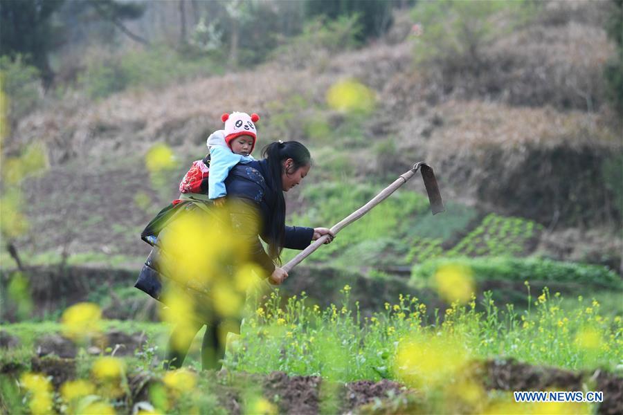 CHINA-SPRING-FARM WORK (CN)