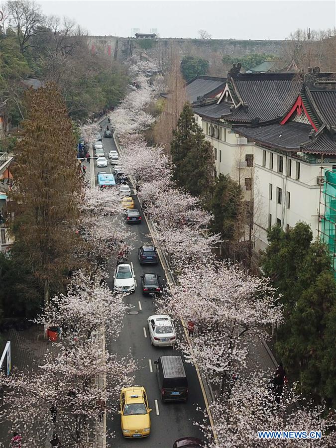 CHINA-NANJING-SPRING VIEWS (CN)