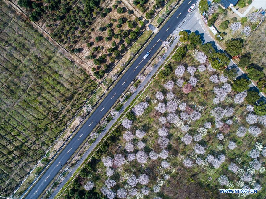 CHINA-ZHEJIANG-RURAL AREA-INFRASTRUCTURE-CONSTRUCTION (CN)