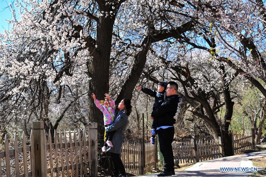 CHINA-INNER MONGOLIA-SPRING SCENERY (CN)