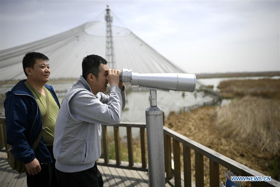 CHINA-NINGXIA-SHAHU-BIRDWATCHING (CN)