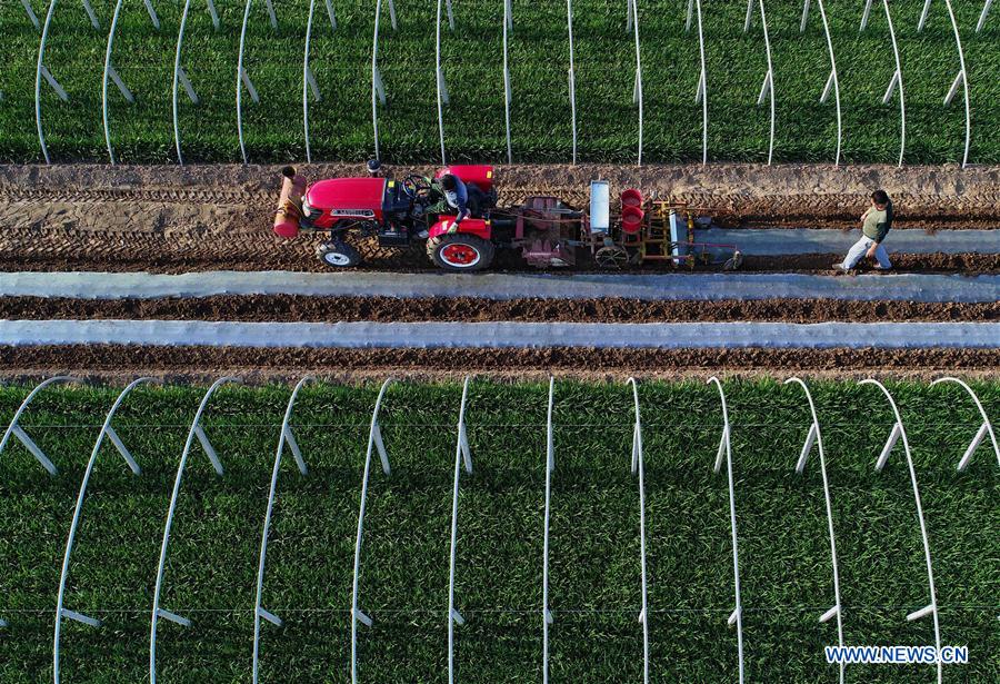 CHINA-HEBEI-LAOTING-FARM WORK (CN)