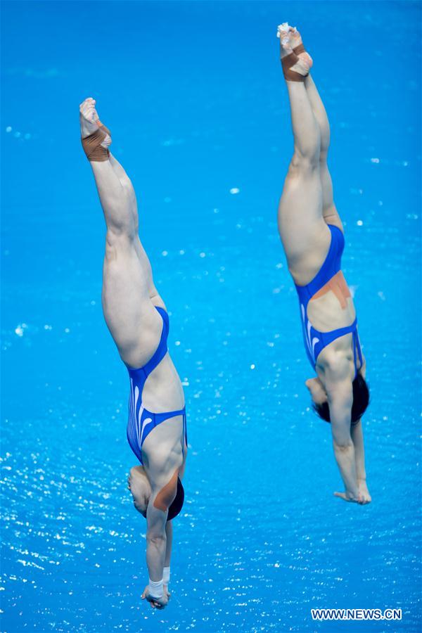 (SP)CHINA-WUHAN-DIVING-FINA-WORLD CUP (CN)