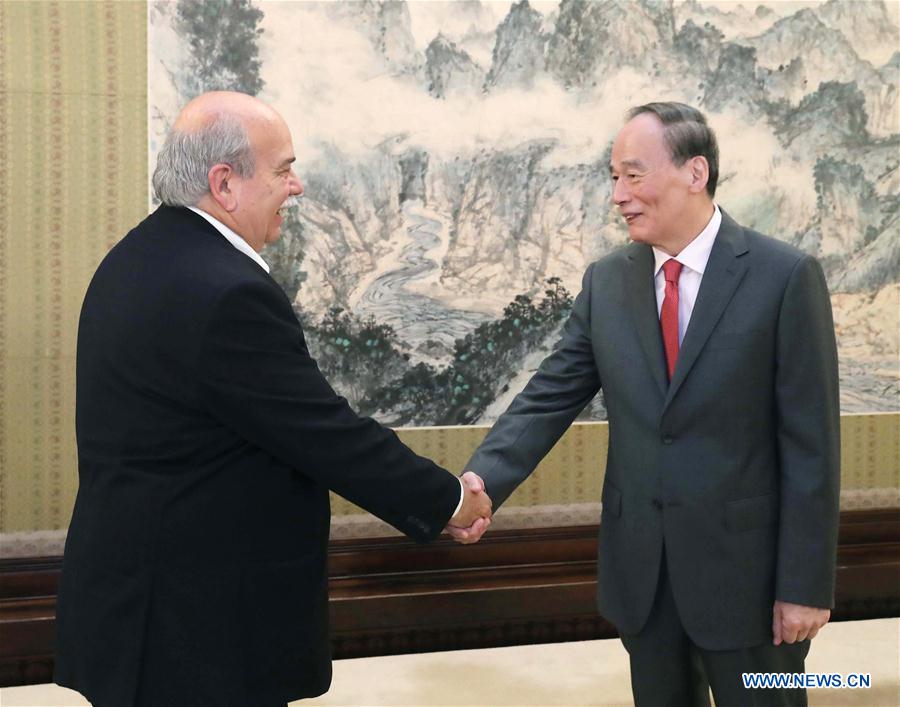 CHINA-BEIJING-WANG QISHAN-GREECE-NIKOLAOS VOUTSIS-MEETING (CN)