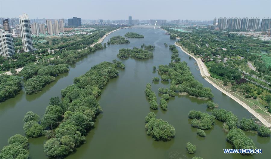 CHINA-SHAANXI-XI'AN-WETLAND-ECOLOGY (CN)