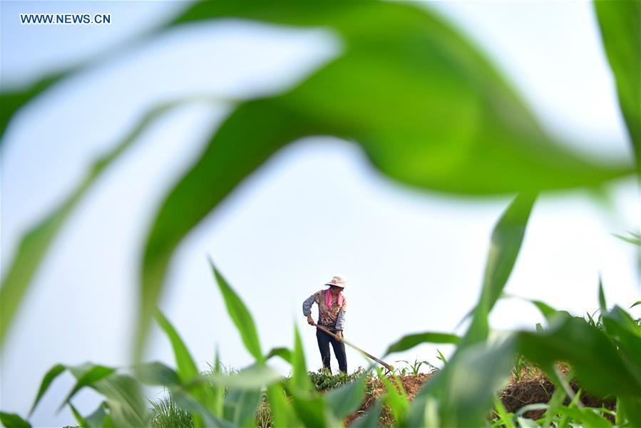 XINHUA PHOTO WEEKLY CHOICES