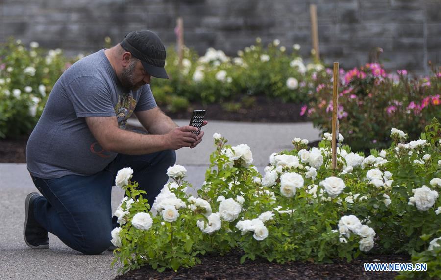 CANADA-BURLINGTON-ROYAL BOTANICAL GARDENS-ROSE GARDEN