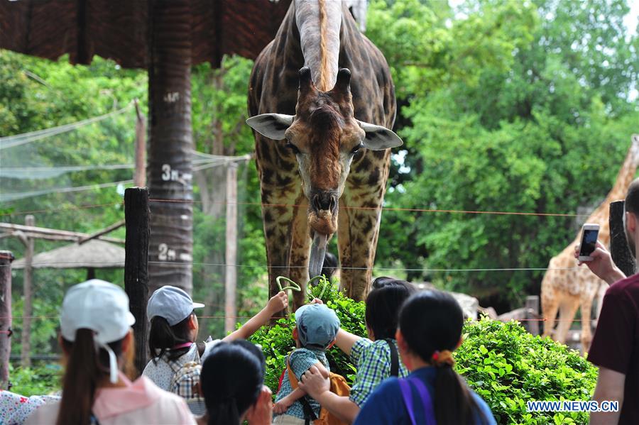 THAILAND-BANGKOK-ZOO