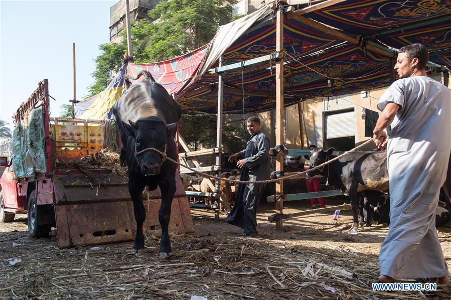 EGYPT-CAIRO-EID AL-ADHA-LIVESTOCK MARKET