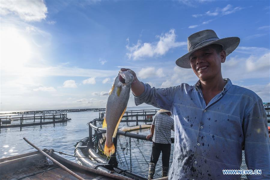 CHINA-ZHEJIANG-WENZHOU-MARICULTURE (CN)