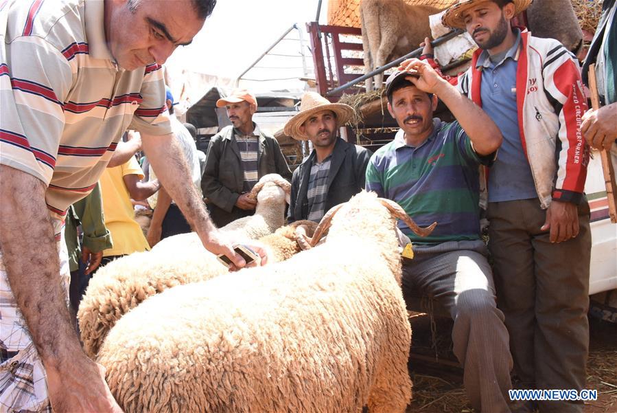 MOROCCO-RABAT-EID AL-ADHA-LIVESTOCK MARKET