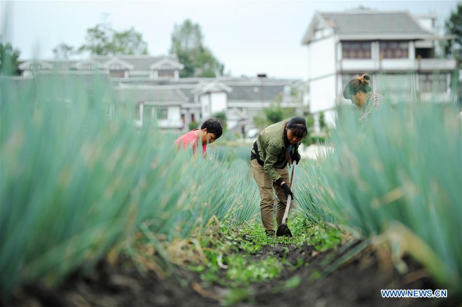 #CHINA-GUIZHOU-VILLAGES-FARM WORK (CN)