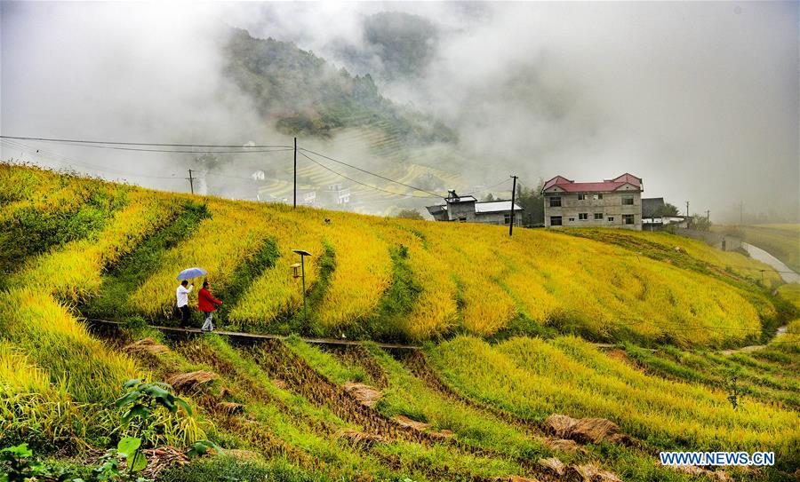 CHINA-SHAANXI-TERRACED FIELDS (CE)