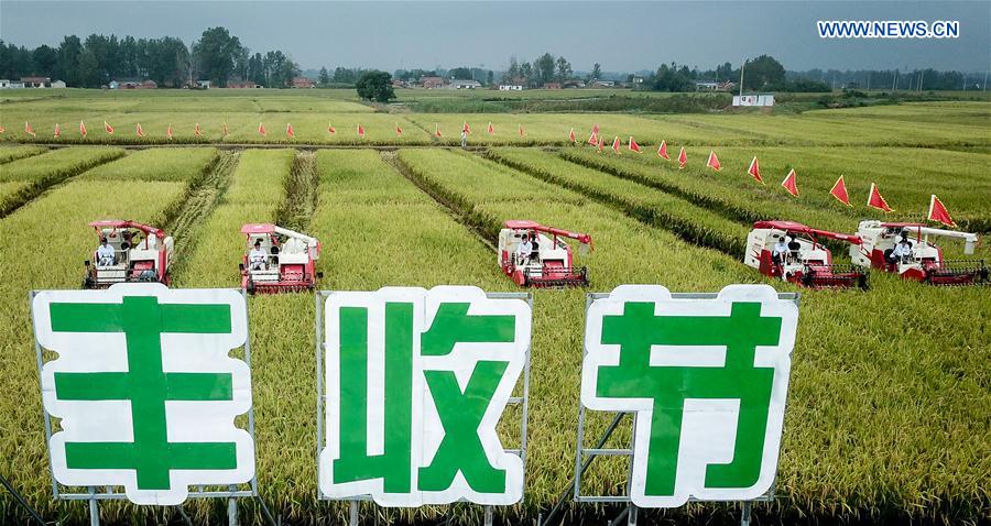 CHINA-JIANGSU-XUYI-RICE-HARVEST (CN)