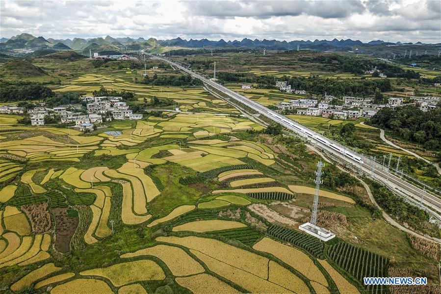 #CHINA-AUTUMN-HARVEST (CN)