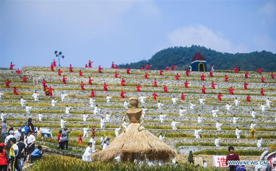 CHINA-ZHEJIANG-TAICHI-PERFORMANCE (CN)