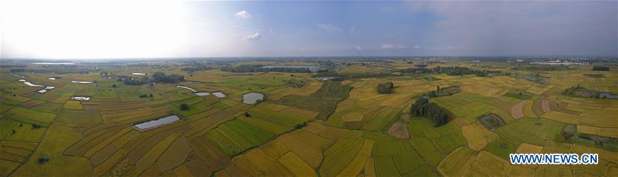 CHINA-ANHUI-XIAOGANG VILLAGE-AERIAL VIEW (CN)