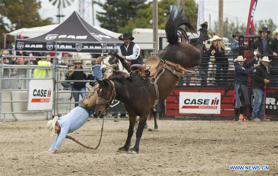 (SP)CANADA-MARKHAM-RODEO