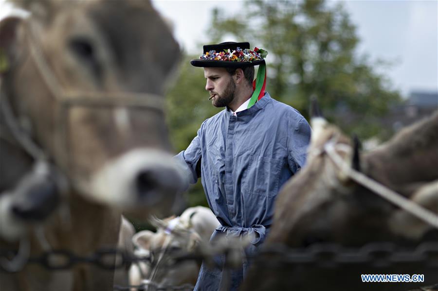 SWITZERLAND-APPENZELL-CATTLE SHOW