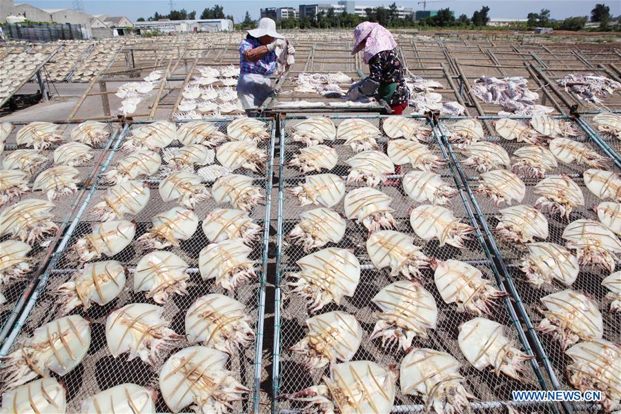 #CHINA-ZHEJIANG-TAIZHOU-FISH-DRYING (CN)