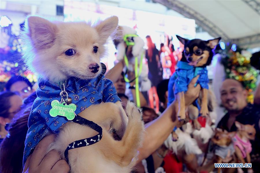 PHILIPPINES-QUEZON CITY-PET PARADE