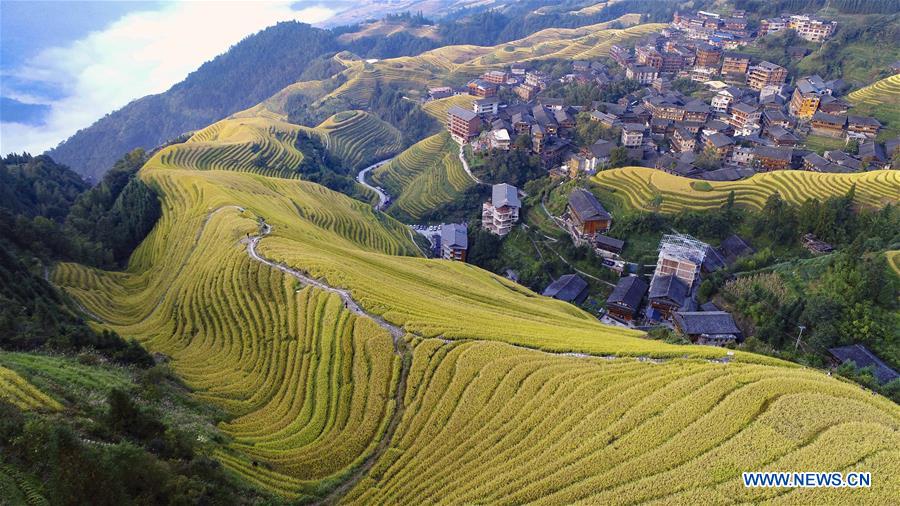 #CHINA-GUANGXI-GUILIN-AUTUMN-SCENERY (CN)