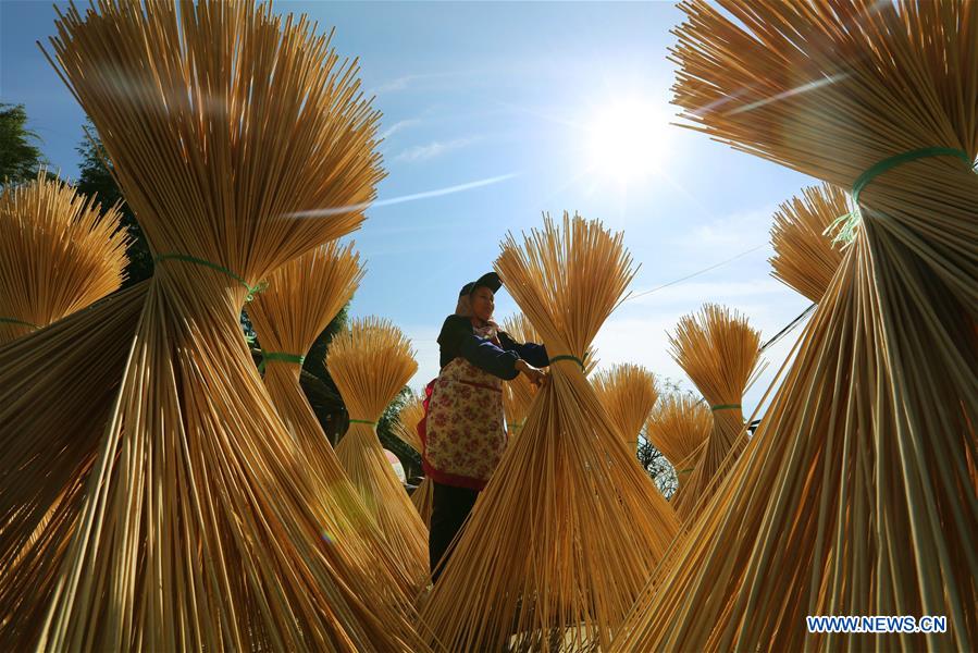 #CHINA-GUIZHOU-BAMBOO WEAVING (CN)