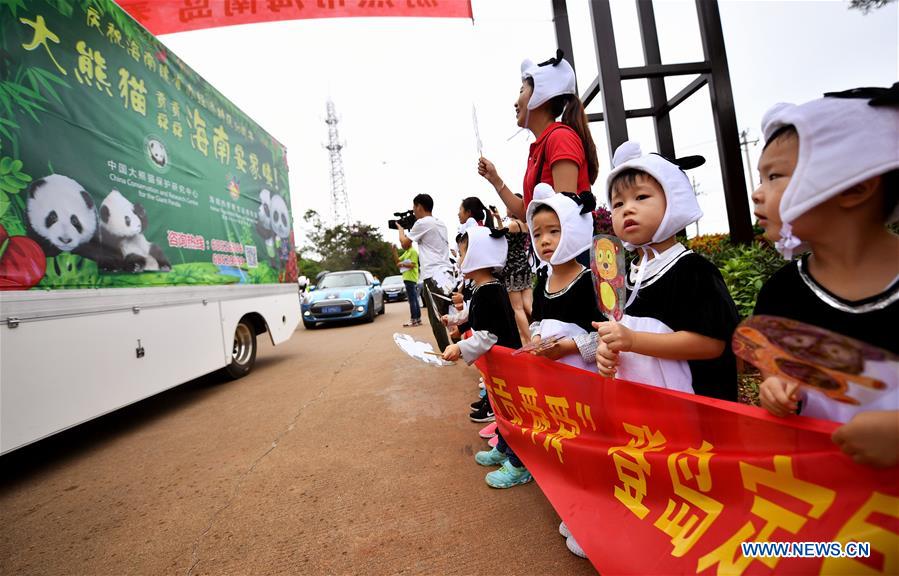 CHINA-HAINAN-HAIKOU-GIANT PANDA-SETTLEMENT (CN)