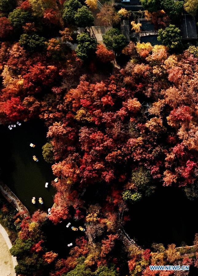 #CHINA-EARLY WINTER-SCENERY (CN)