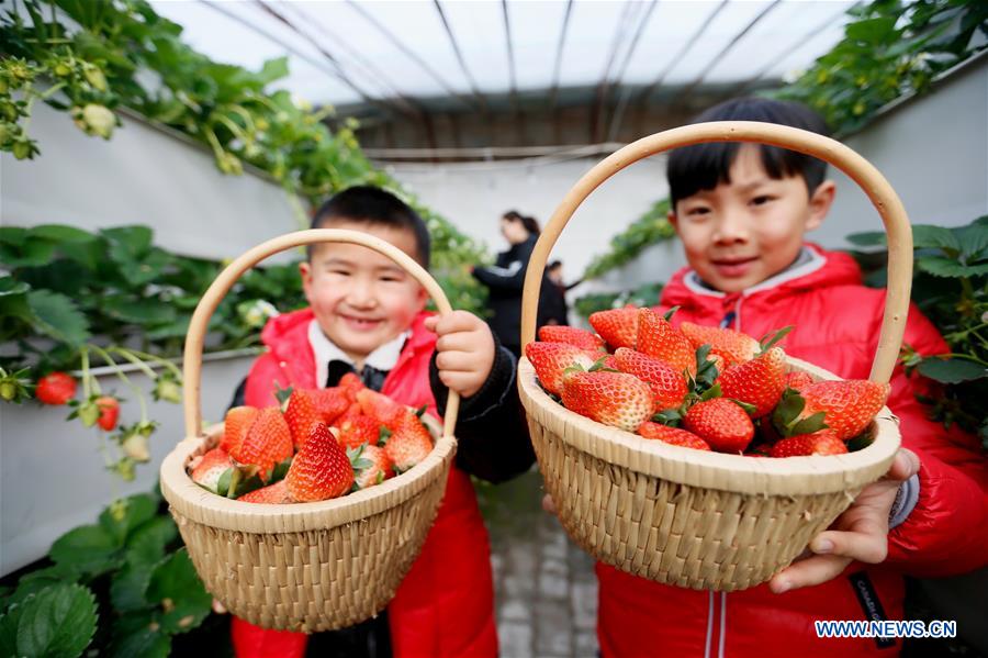 #CHINA-SHANDONG-QINGDAO-AGRICULTURE (CN)