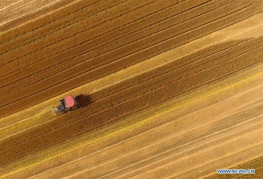 CHINA-MECHANIZED AGRICULTURE (CN)