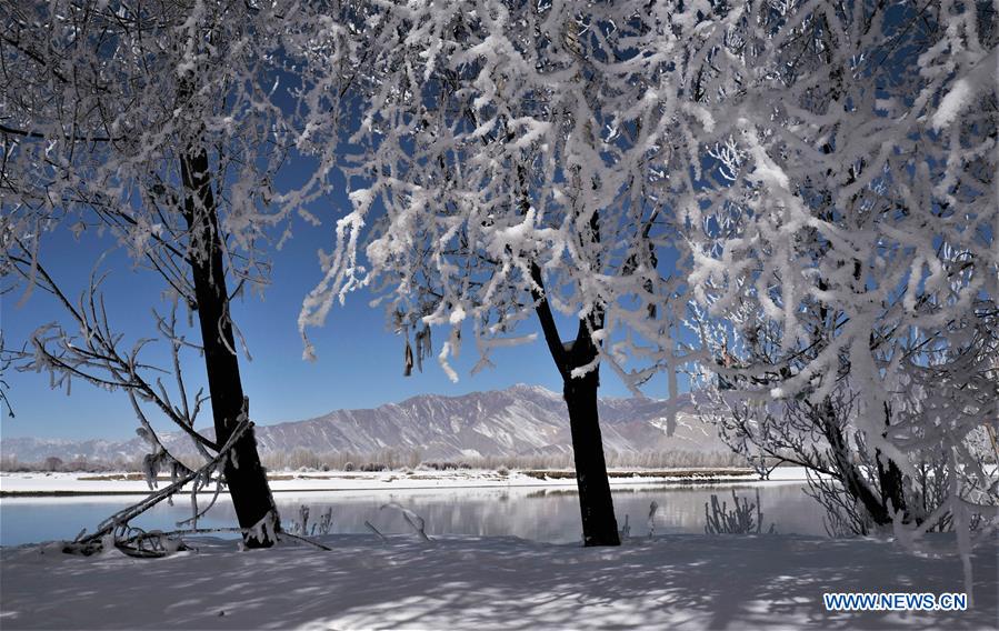 CHINA-TIBET-WINTER-RIME (CN)