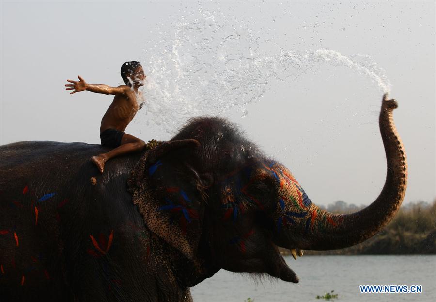 NEPAL-CHITWAN-ELEPHANT FESTIVAL