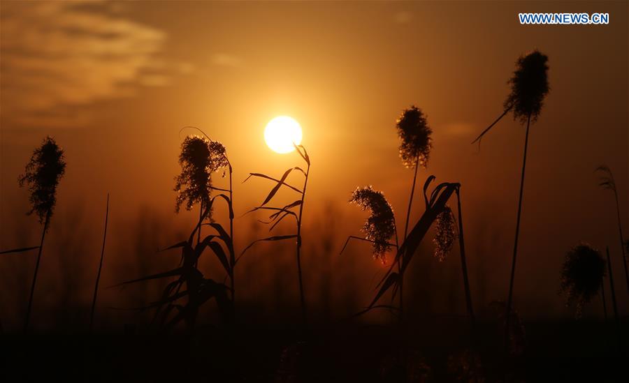 #CHINA-SHANDONG-LINYI-SUNSET (CN)