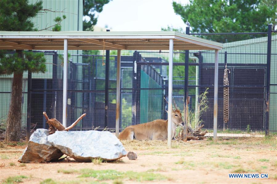 AUSTRALIA-CANBERRA-ZOO-HEAT WAVE