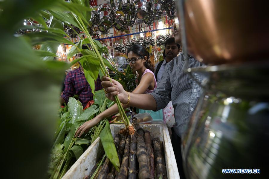 SINGAPORE-PONGAL FESTIVAL-CELEBRATIONS