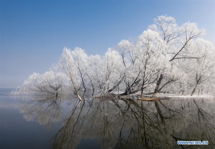 XINHUA PHOTOS OF THE DAY