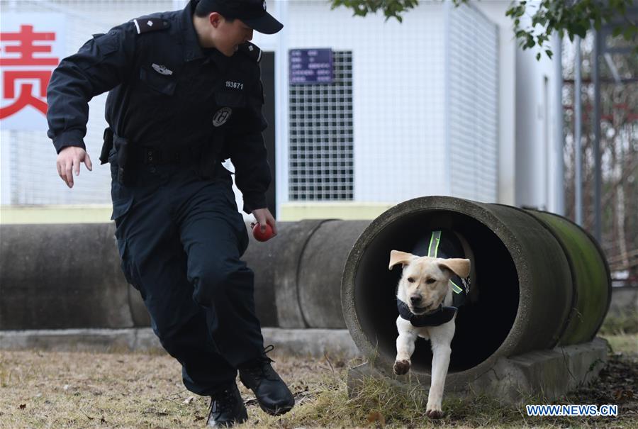 CHINA-HUBEI-WUHAN-POLICE DOG-TRAINING (CN) 