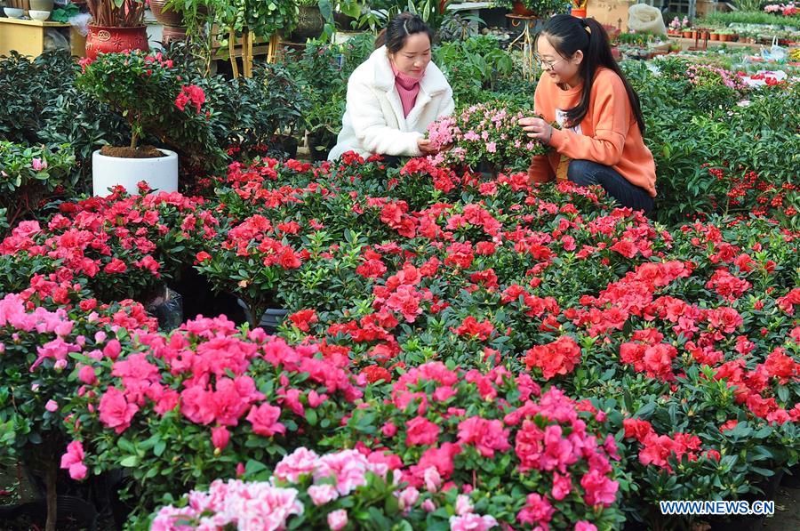 CHINA-FLOWER-SPRING FESTIVAL-PREPARATION (CN)