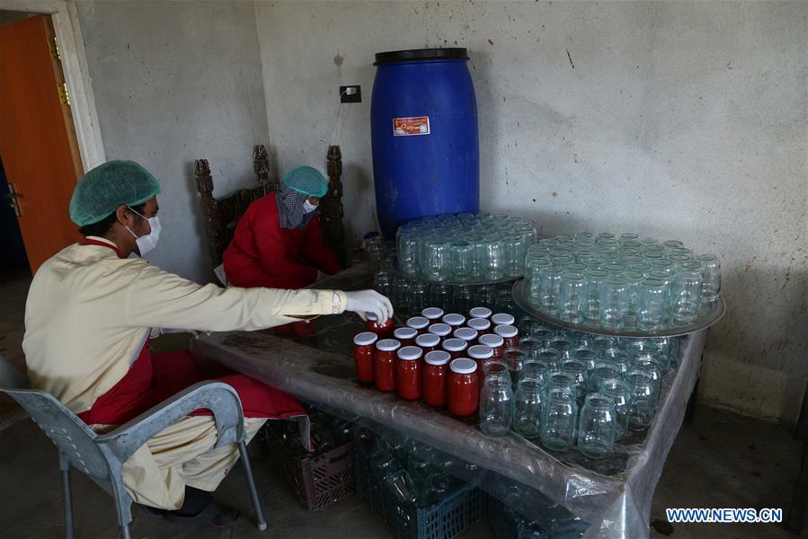 AFGHANISTAN-GHAZNI-TOMATO PASTE PLANT