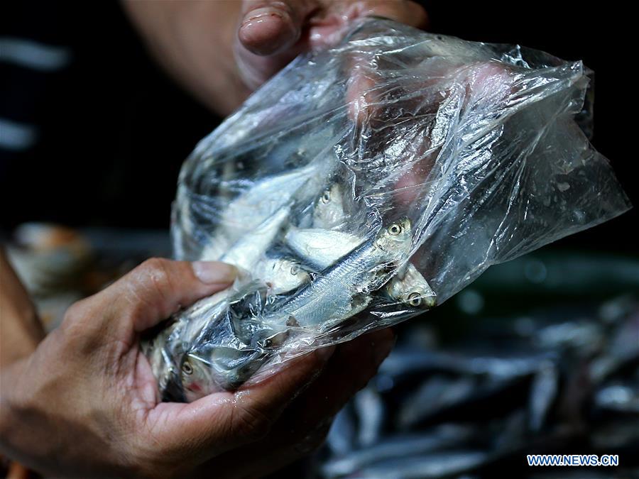 PHILIPPINES-QUEZON-MARKET-ENDANGERED FRESHWATER SARDINES