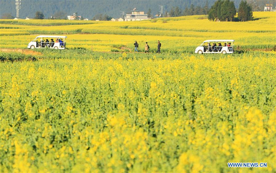 #CHINA-SPRING FESTIVAL-LANDSCAPE (CN)